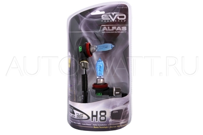 Газонаполненные лампы H8 EVO Spectras Xenon 5000K