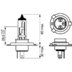 Лампа галогенная H4 - Bosch Pure Light 12V 60/55W